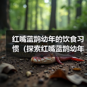 红嘴蓝鹊幼年的饮食习惯（探索红嘴蓝鹊幼年的饮食偏好和需求）（图4）