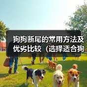狗狗断尾的常用方法及优劣比较（选择适合狗狗的断尾方法，关爱它的健康成长）（图2）