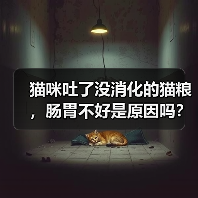 猫咪吐了没消化的猫粮，肠胃不好是原因吗？（探究猫咪吐出没消化的猫粮的原因和解决方法）（图1）