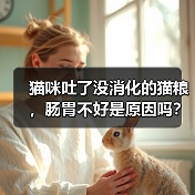猫咪吐了没消化的猫粮，肠胃不好是原因吗？（探究猫咪吐出没消化的猫粮的原因和解决方法）（图2）