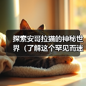 探索安哥拉猫的神秘世界（了解这个罕见而迷人的猫种）（图1）