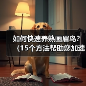 如何快速养熟画眉鸟？（15个方法帮助您加速养熟画眉鸟）（图1）
