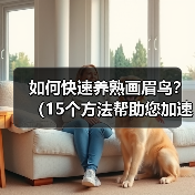如何快速养熟画眉鸟？（15个方法帮助您加速养熟画眉鸟）（图3）
