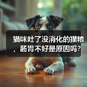 猫咪吐了没消化的猫粮，肠胃不好是原因吗？（探究猫咪吐出没消化的猫粮的原因和解决方法）（图3）