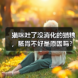 猫咪吐了没消化的猫粮，肠胃不好是原因吗？（探究猫咪吐出没消化的猫粮的原因和解决方法）（图4）
