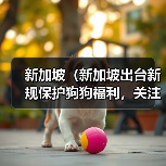 新加坡（新加坡出台新规保护狗狗福利，关注狗狗权益）（图4）