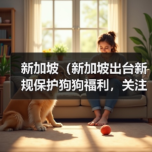 新加坡（新加坡出台新规保护狗狗福利，关注狗狗权益）（图3）