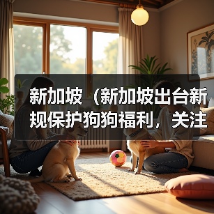新加坡（新加坡出台新规保护狗狗福利，关注狗狗权益）（图2）