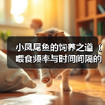 小凤尾鱼的饲养之道（喂食频率与时间间隔的重要性）（图1）