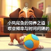 小凤尾鱼的饲养之道（喂食频率与时间间隔的重要性）（图3）