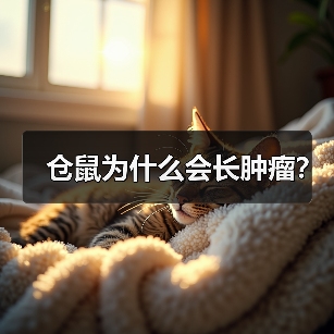 仓鼠为什么会长肿瘤？（图2）
