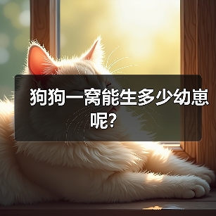 狗狗一窝能生多少幼崽呢？（图3）