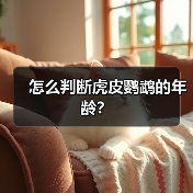 怎么判断虎皮鹦鹉的年龄？（图2）