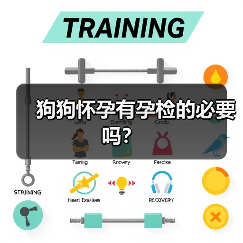 狗狗怀孕有孕检的必要吗？（图4）