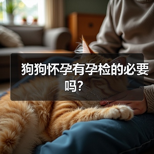 狗狗怀孕有孕检的必要吗？（图2）