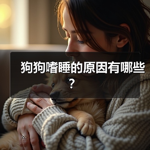 狗狗嗜睡的原因有哪些？（图4）