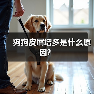 狗狗皮屑增多是什么原因？（图3）
