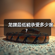 龙猫最低能承受多少度？（图2）