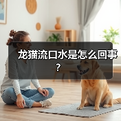 龙猫流口水是怎么回事？（图4）