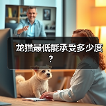 龙猫最低能承受多少度？（图1）