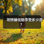 龙猫最低能承受多少度？（图4）