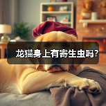 龙猫身上有寄生虫吗？