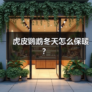 虎皮鹦鹉冬天怎么保暖？（图2）