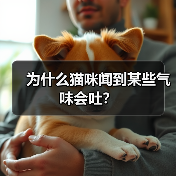 为什么猫咪闻到某些气味会吐？（图4）