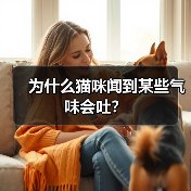 为什么猫咪闻到某些气味会吐？（图3）