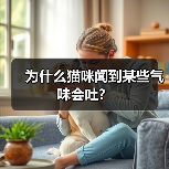 为什么猫咪闻到某些气味会吐？（图2）