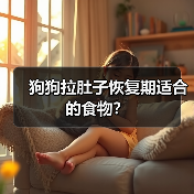 狗狗拉肚子恢复期适合的食物？（图3）