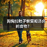狗狗拉肚子恢复期适合的食物？（图2）