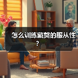 怎么训练藏獒的服从性？（图2）