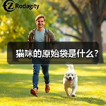 猫咪的原始袋是什么？（图3）