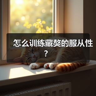 怎么训练藏獒的服从性？（图4）