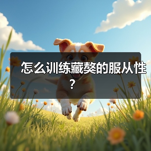 怎么训练藏獒的服从性？
