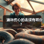 猫咪伤心的表现有哪些？（图4）