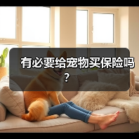 有必要给宠物买保险吗？（图4）