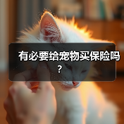 有必要给宠物买保险吗？（图1）