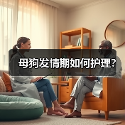 母狗发情期如何护理？（图4）