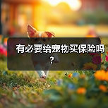 有必要给宠物买保险吗？（图3）