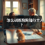怎么训练狗狗随行主人？（图4）