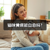 猫咪黄疸能自愈吗？（图3）