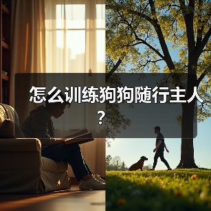 怎么训练狗狗随行主人？（图2）