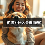 狗狗为什么会低血糖?