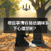 哪些事情容易给猫咪留下心理阴影？（图3）
