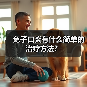 兔子口炎有什么简单的治疗方法？（图4）
