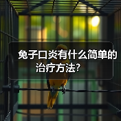 兔子口炎有什么简单的治疗方法？（图1）