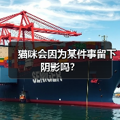 猫咪会因为某件事留下阴影吗？（图4）