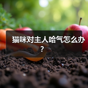 猫咪对主人哈气怎么办？（图1）